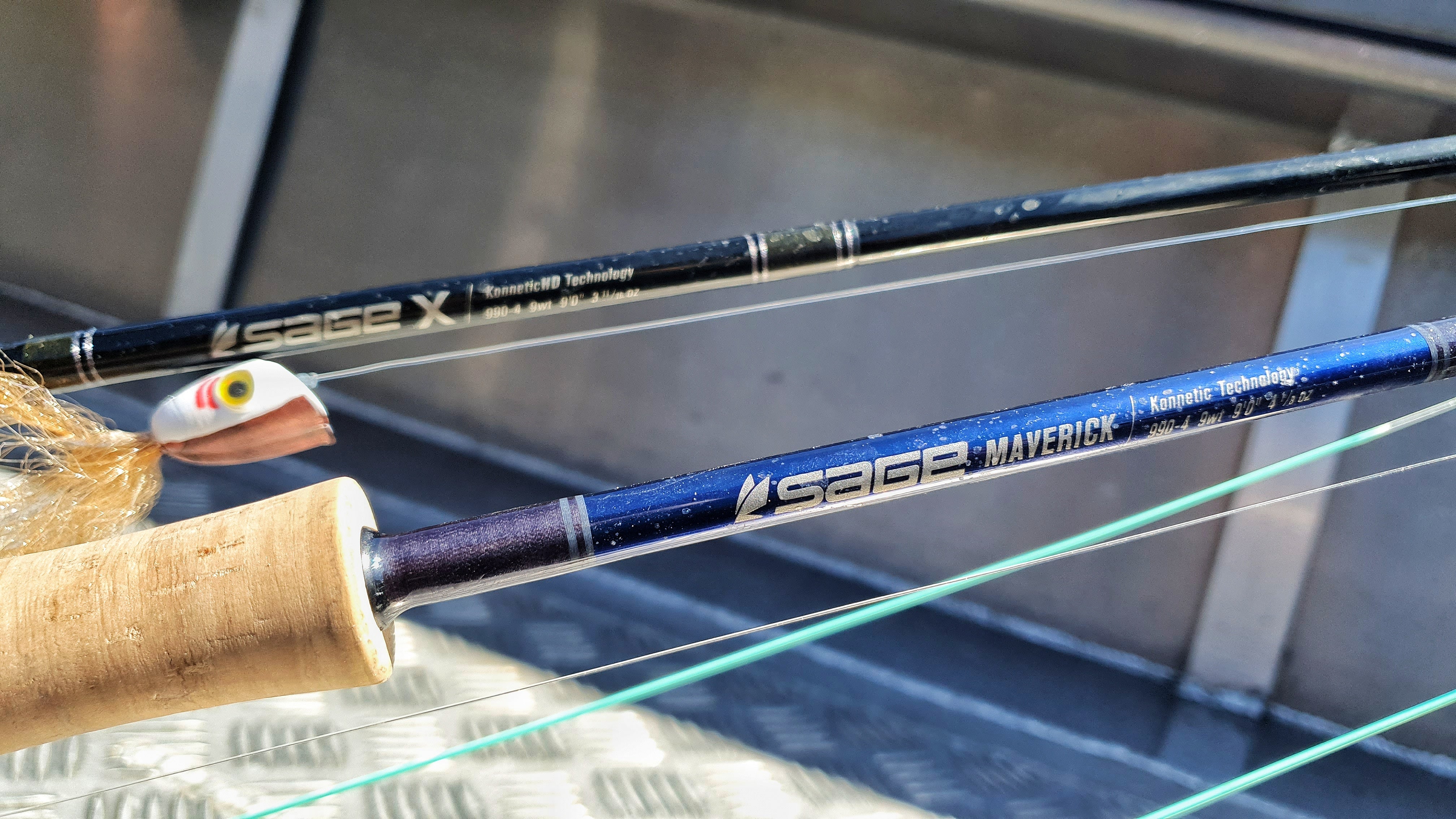  Fishing Rods - SAGE / Fishing Rods / Fishing Rods &  Accessories: Sports & Outdoors