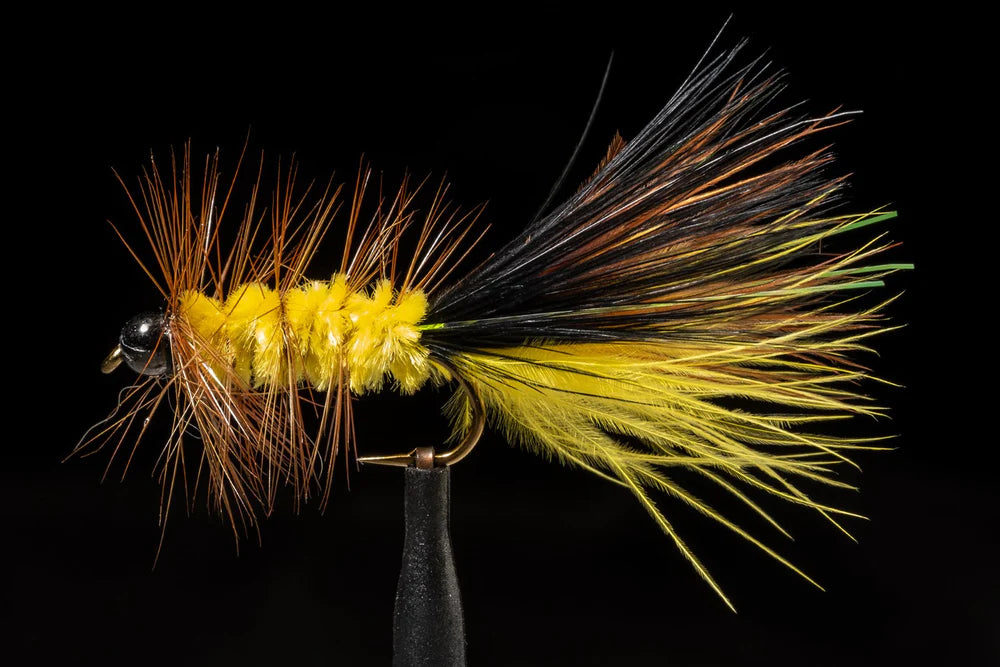 Fly Tying Glue – Glasgow Angling Centre