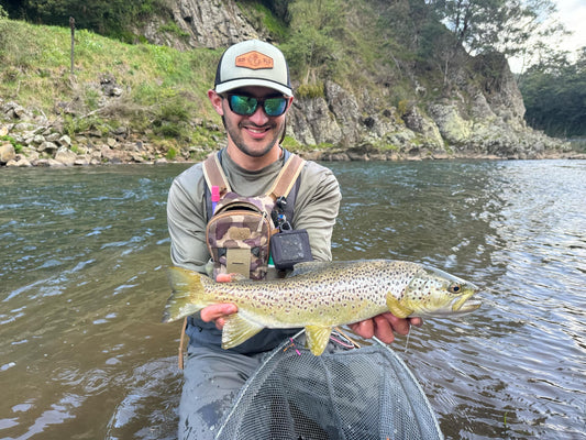 November 29th 2024 + Fishing in the Wind