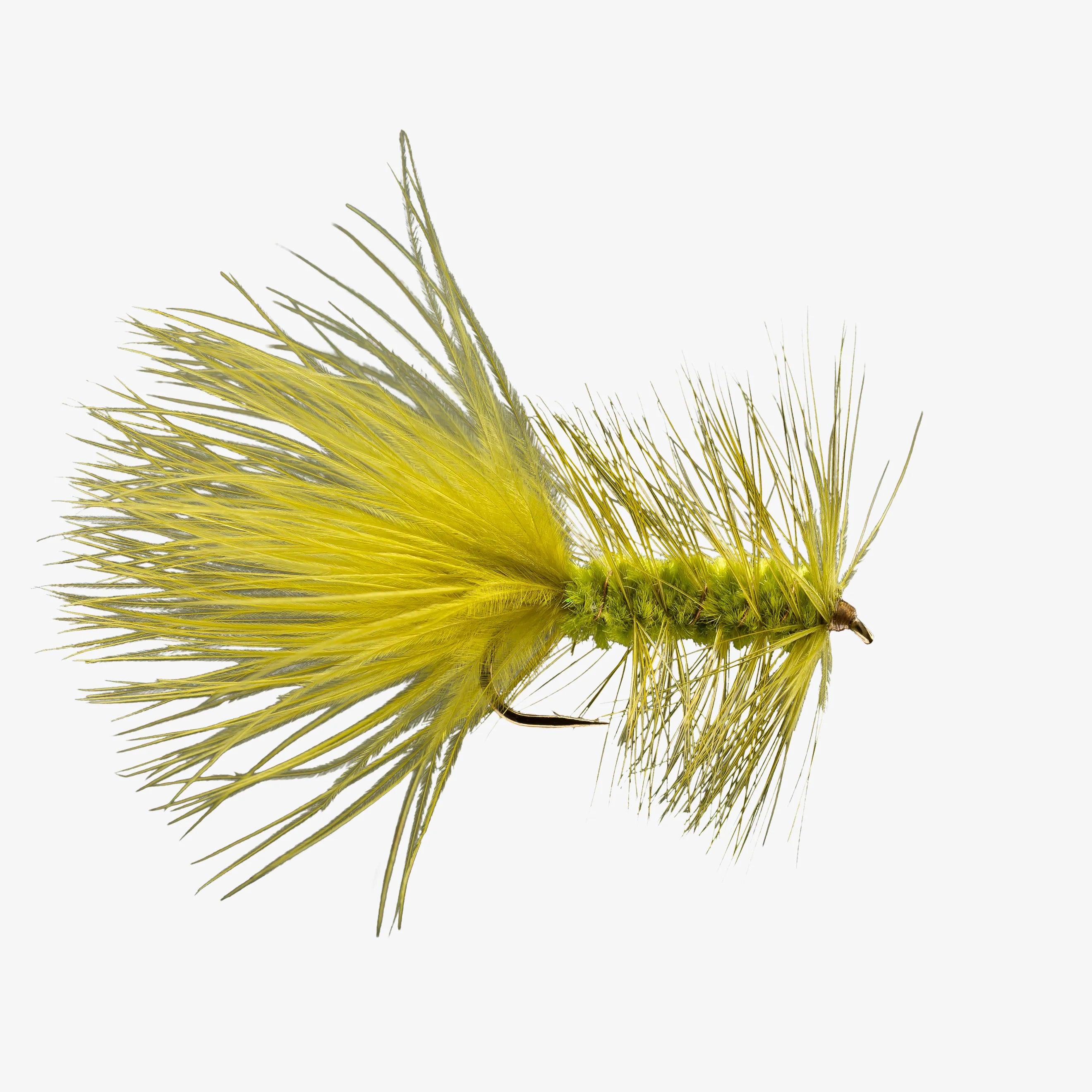 RIO Woolly Bugger - Olive - Sportinglife Turangi 