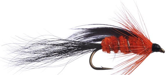 Scotch Poacher Wet Fly - Sportinglife Turangi 